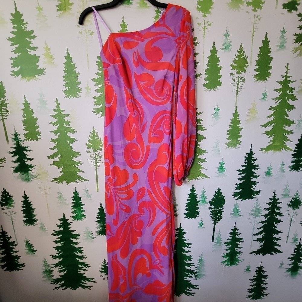 New Premier Amour One Shoulder Sleeve Floral Maxi Dress.